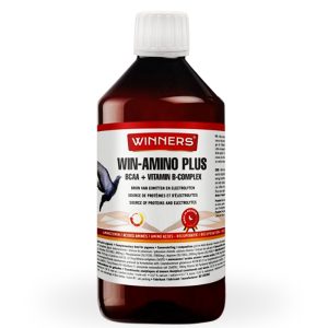 Supliment Pregătire Concurs, Belgian Winners, Win-Amino Plus (1 litru), aminoacizi & vitamine B