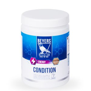 Condition BEY 600gr