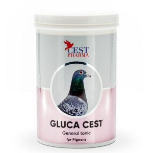 Supliment Pregătire Concurs, Cest Pharma, Gluca Cest, 600 g, energie & recuperare rapidă