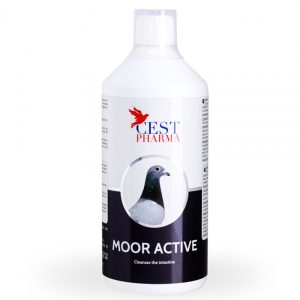Supliment Recuperare Concurs, Cest Pharma, Moor Active, 1000 ml, detoxifiere