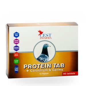 Supliment Pregătire Concurs, Cest Pharma, Protein Tab 3x30, 90 tablete, energie