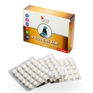 Alternative view of Supliment Pregătire Concurs, Cest Pharma, Protein Tab 3x30, 90 tablete, energie