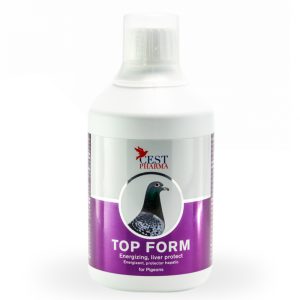 Supliment Pregătire Concurs, Cest Pharma, Top Form, 500 ml, energie & performanță