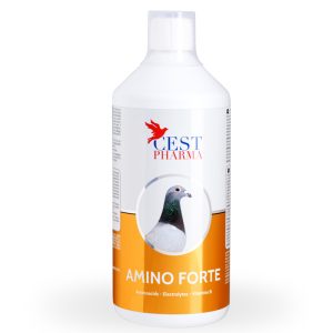Supliment Pregătire Concurs, Cest Pharma, Amino Forte, 1000 ml, recuperare rapidă