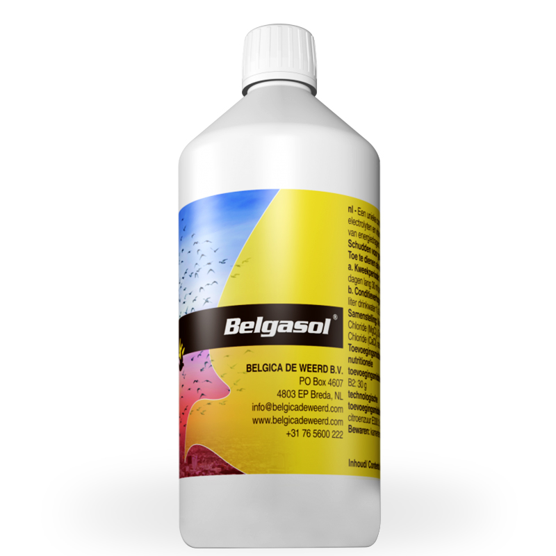 Supliment Pregătire Concurs, Belgica De Weerd, Belgasol, 1 l, aminoacizi & vitamine B