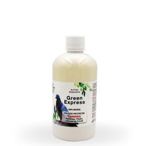 Supliment Metabolism, Green Express, CANDIDA, 500 ml, tratament candidoză