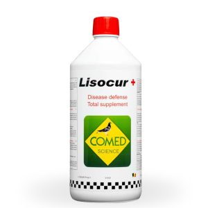 Lisocur+ 1000ml