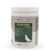 Supliment Recuperare Concurs, Versele-Laga, Glucose + VItamine VL 400g, energie