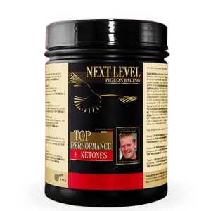 Supliment Pregătire Concurs, Next Level, TOP PERFORMANCE + ketones 400g, aminoacizi, energie & recuperare