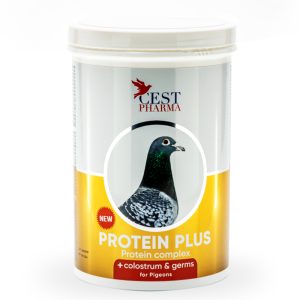 Supliment Pregătire Concurs, Cest Pharma, Protein Plus, 600 g, energie