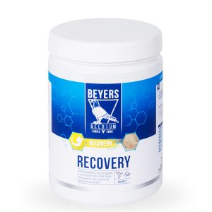 Supliment Recuperare Concurs, Beyers, Recovery BEY 600g, aminoacizi, energie & recuperare