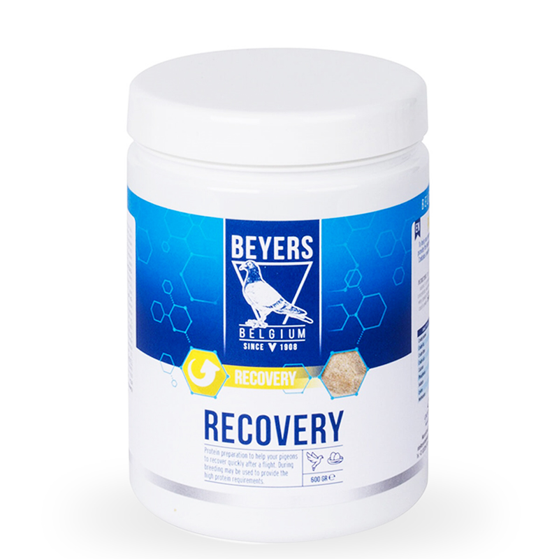 Supliment Recuperare Concurs, Beyers, Recovery BEY 600g, aminoacizi, energie & recuperare