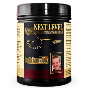 Supliment Pregătire Concurs, Next Level, TOP RECUP 500g, recuperare & regenerare musculară
