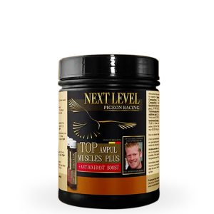 Supliment Pregătire Concurs, Next Level, TOP AMPUL MUSCLES 16 x 25 ml, 16 bucati