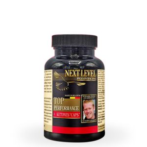 Supliment Pregătire Concurs, Next Level, TOP PERFORMANCE+ ketones 240cps, 240 capsule, aminoacizi, energie & recuperare