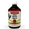 Supliment Metabolism, Belgian Winners, Ulei de usturoi – 500 ml (Belgian Winners), digestie & imunitate