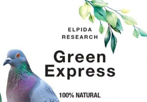 Green Express