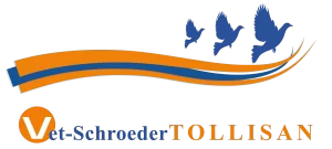 Schroeder-Tollisan