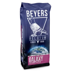 Alternative view of BEYERS GALAXY SPORT LIGHT