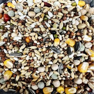 Hrană Porumbei, AIDI, Natural health mix 22KG