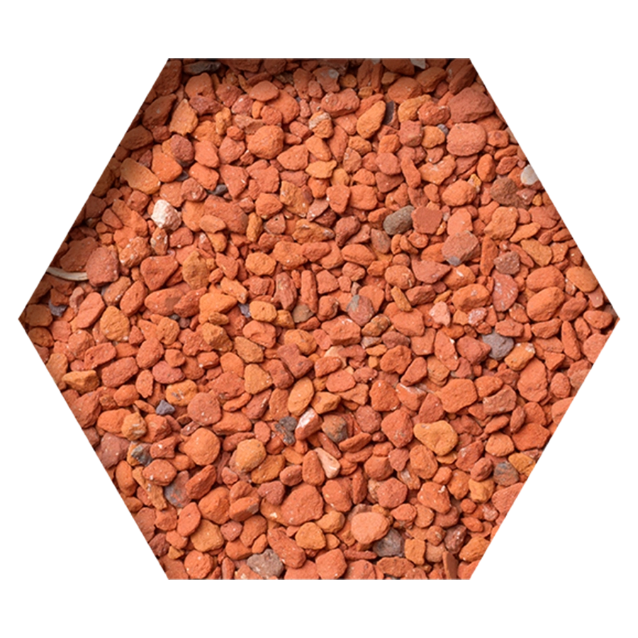 GRIT BEYERS - CARAMIDA ROSIE 20KG - imagine 2