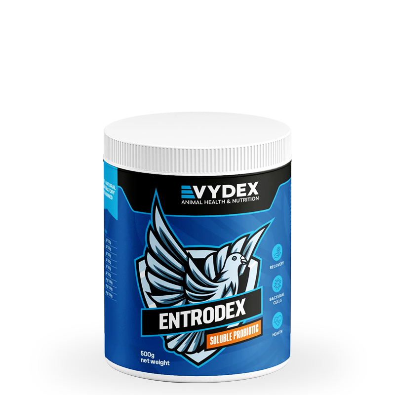 Entrodex VYDEX 500g