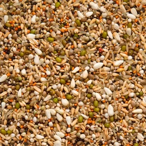 Premium Condition Mix Exclusive - 20 kg