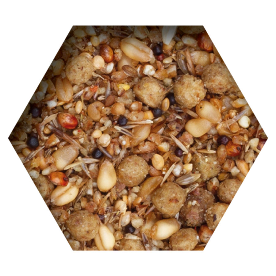 TOVO 2.5 kg - imagine 2